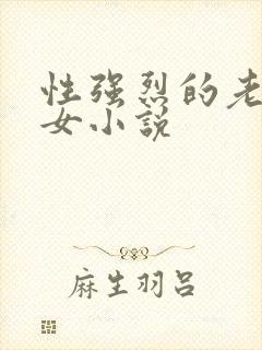 性强烈的老年妇女小说