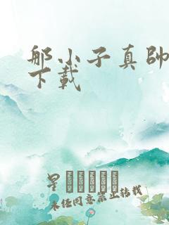 那小子真帅小说下载