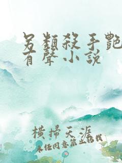 另类杀手艳福星有声小说