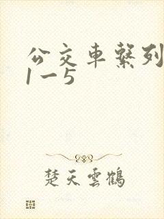 公交车系列合集1一5