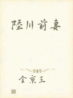 陆川前妻