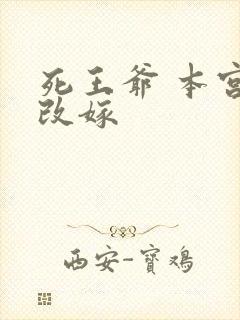 死王爷 本宫已改嫁