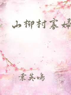 山柳村寡妇情史