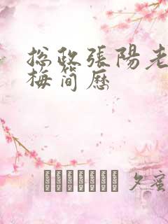 总政张阳老婆吕梅简历