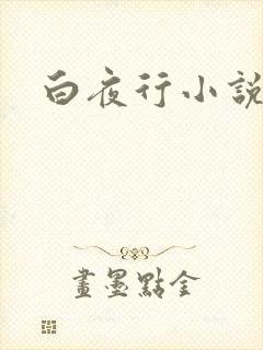 白夜行小说下载