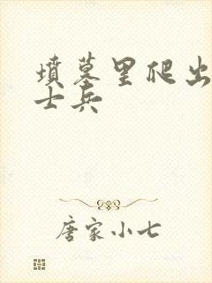 坟墓里爬出来的士兵