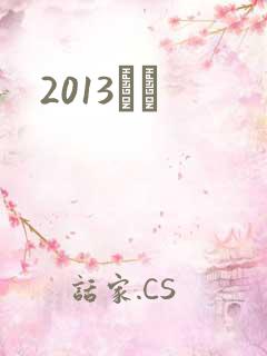 2013С˵