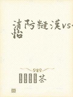 消防糙汉vs江怡