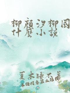 柳颜汐柳国安是什么小说