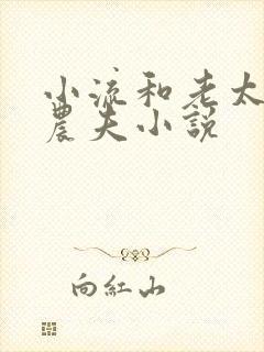 小流和老太69农夫小说