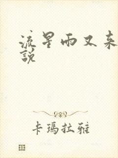 流星雨又来临小说