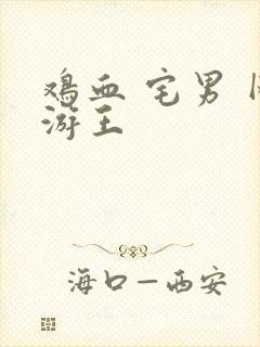 鸡血 宅男 网游王