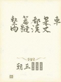 整篇都是车的多肉糙汉文