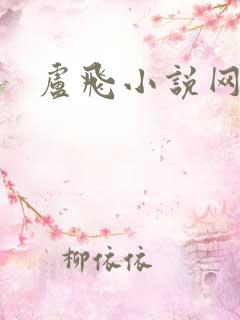 卢飞小说网