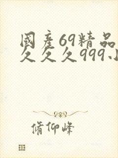 国产69精品久久久久999小说