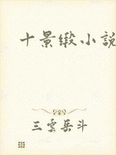 十景缎小说