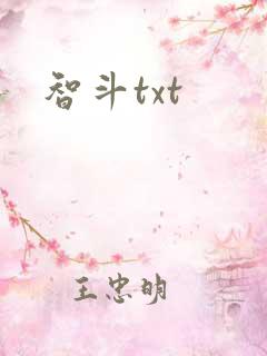 智斗txt