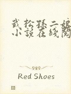 武松孙二娘云雨小说在线阅读