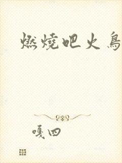 燃烧吧火鸟小说