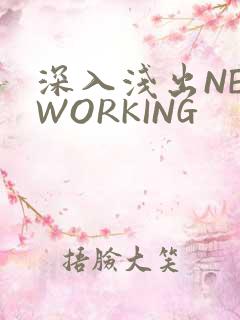 深入浅出NETWORKING