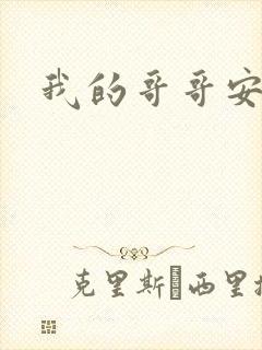 我的哥哥安小天