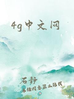 4g中文网