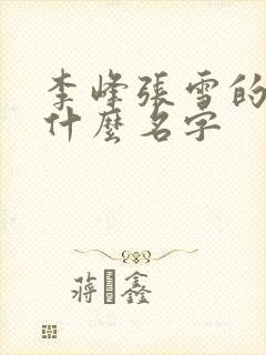 李峰张雪的书叫什么名字