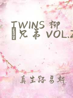 TWINS 柳澤兄弟 VOL.2