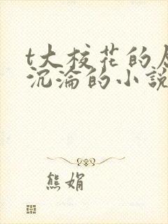 t大校花的屈辱沉沦的小说