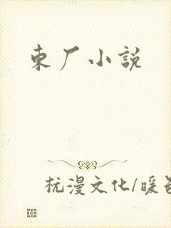 东厂小说