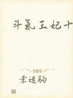 斗气王妃十五岁