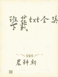 班花txt全集下载