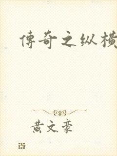 传奇之纵横法师