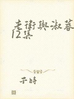 老卫与淑蓉1一12集