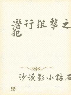 潜行狙击之潜罪犯