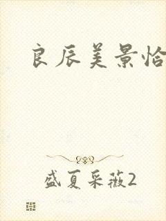 良辰美景恰似你