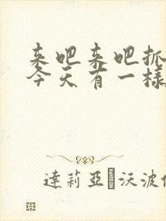 来吧来吧抓紧点今天有一样好东西