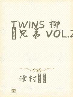 TWINS 柳澤兄弟 VOL.2