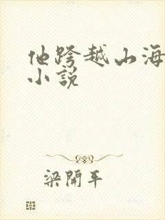 他跨越山海而来小说