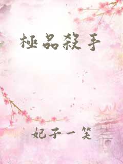 极品杀手