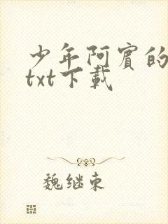 少年阿宾的故事txt下载