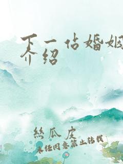 下一站婚姻剧情介绍