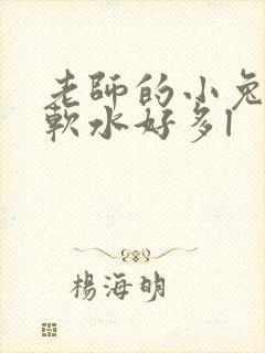 老师的小兔子好软水好多l