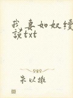 我妻如奴续写小说txt