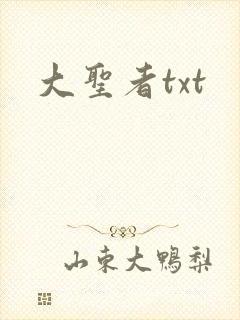 大圣者txt