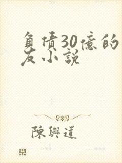 负债30亿的男友小说