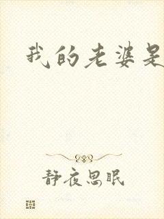 我的老婆是卧底