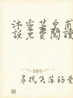 沐灵芸皇甫霆小说免费阅读