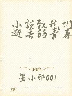 小说致我们终将逝去的青春