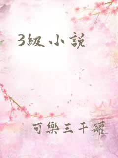3级小说